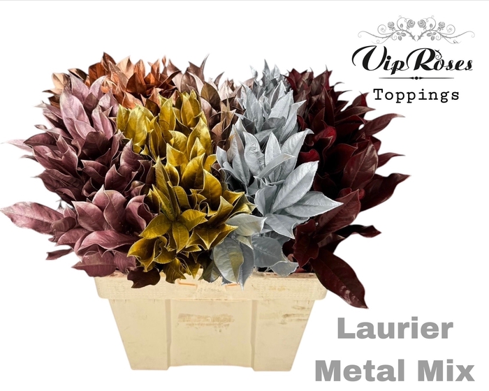 <h4>LAURIER METAL MIX</h4>