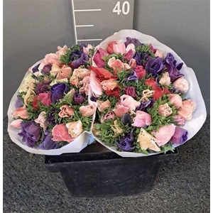 Anem Scirocco Mix Mix