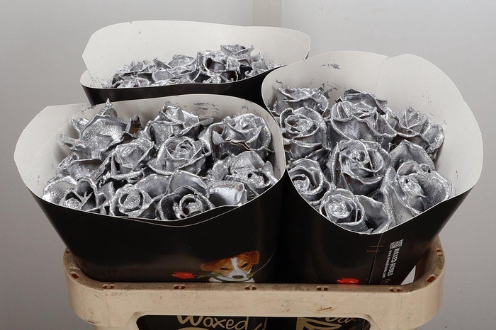 <h4>Wax-Rozen Wax Zilver w22</h4>
