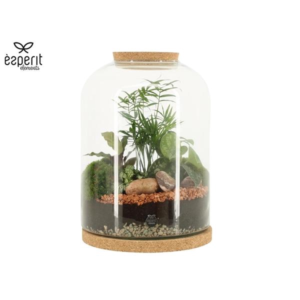 <h4>Arrangementen kamerplanten H%</h4>