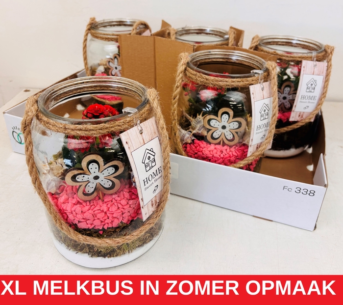 <h4>ARR KAMERPL</h4>
