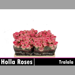 R TR TRALALA