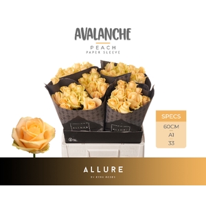 R GR AVALANCHE PEACH+ ALLURE Allure Specials