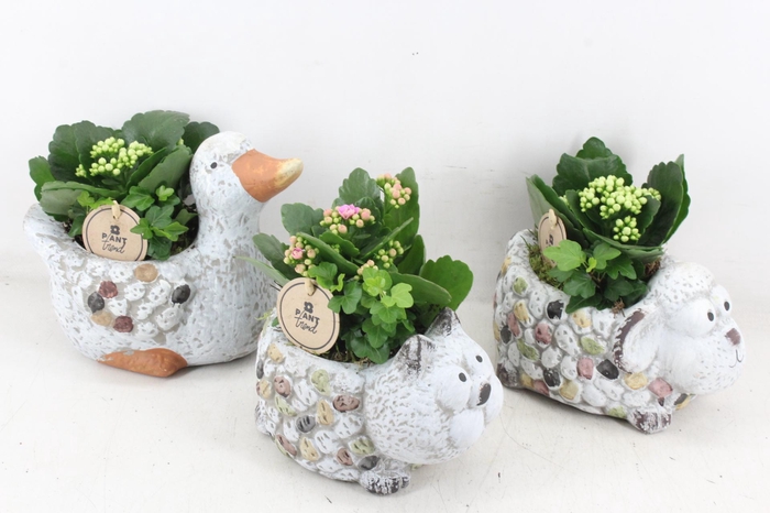 <h4>arr2 PL - Keramiek dieren mix x6</h4>