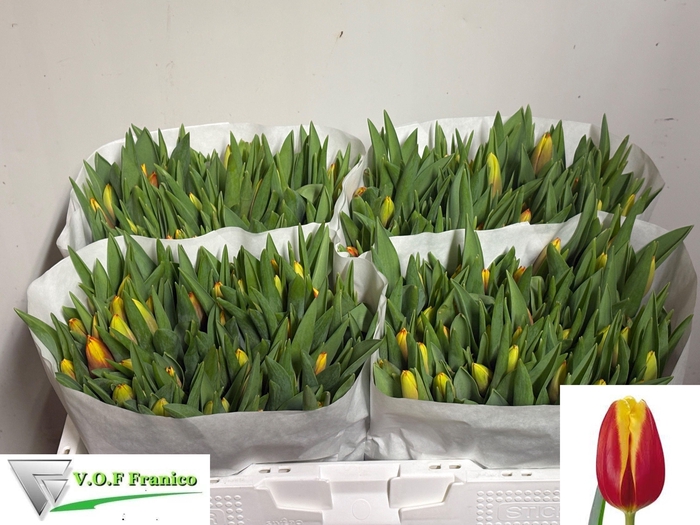 <h4>TU EN DOW JONES</h4>