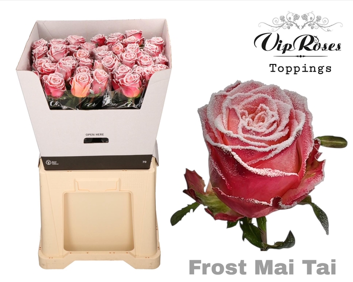 <h4>R GR FROST MAI TAI</h4>