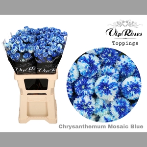 CHR T MOSAIC BLUE