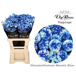 CHR T MOSAIC BLUE