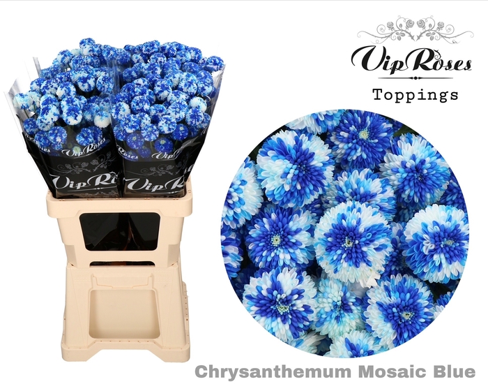 CHR T MOSAIC BLUE