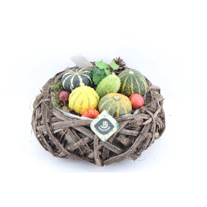 arr4 Sierfruit JS - Natuur krans L