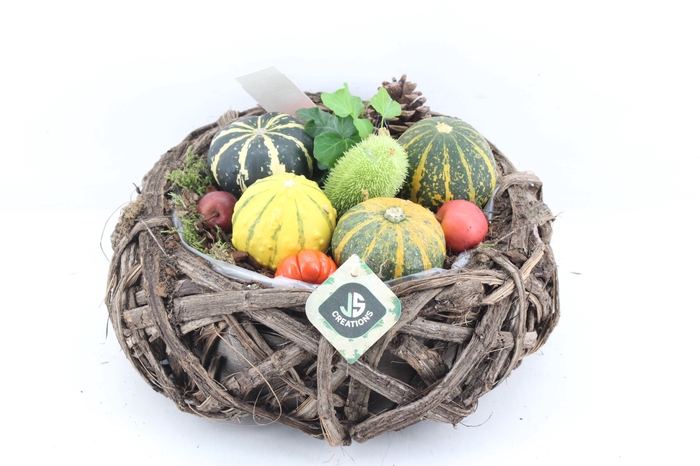 arr4 Sierfruit JS - Natuur krans L