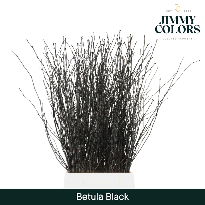 <h4>Betula L60 Black</h4>