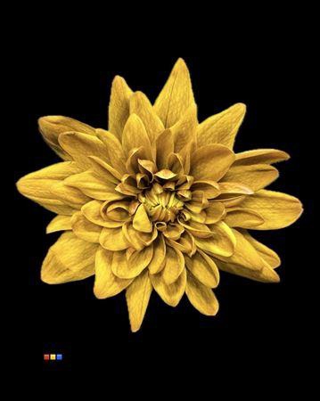 <h4>Chr T 2 Kl Baltica Whiskey</h4>