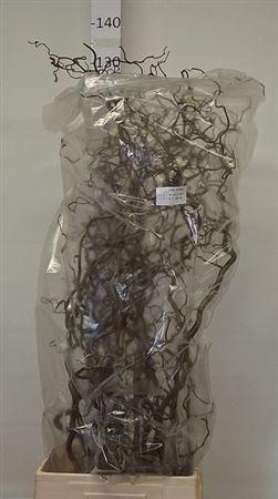 <h4>Corylus Av Contorta</h4>