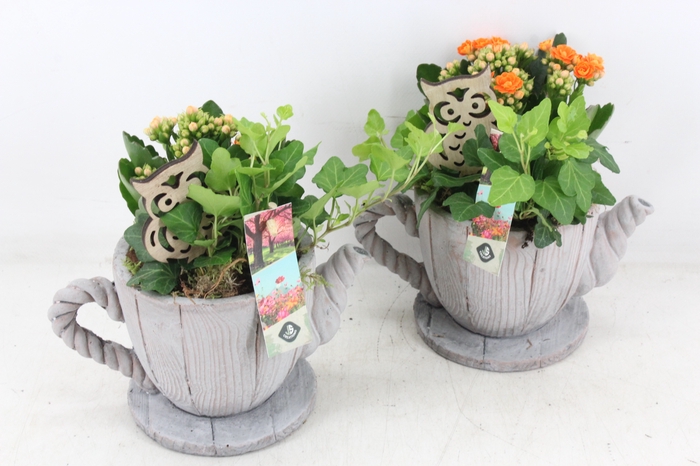 <h4>arr2 JS - Theepot hout decor</h4>