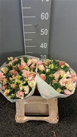 <h4>Anem Gal White</h4>