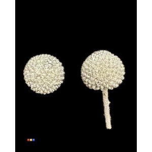 Craspedia Klb Platinum