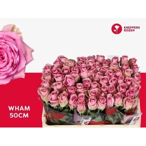 R GR WHAM