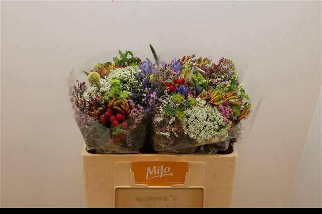 <h4>GEM ZOMERBOEKET</h4>