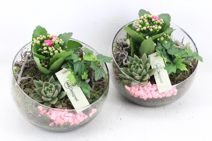 <h4>arr2 MB - Glas halve maan 402/2 - roze</h4>