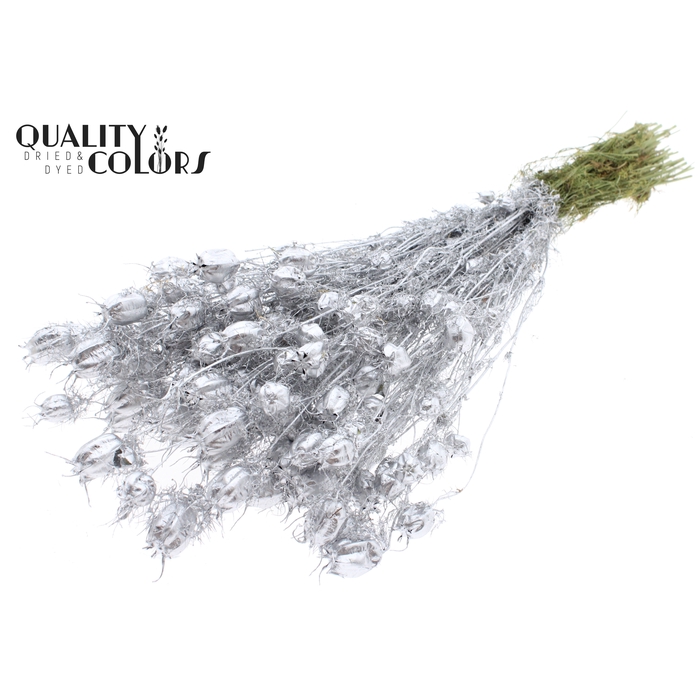 <h4>Nigella per bunch Silver</h4>