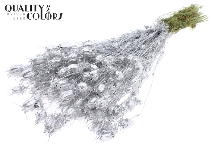 Nigella per bunch Silver