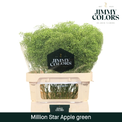 <h4>Gyps Million Star L80 Apple green</h4>