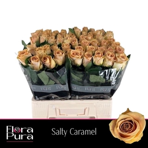 R GR SALTY CARAMEL!