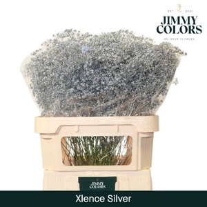 Gyps Xlence L80 Mtlc. Zilver