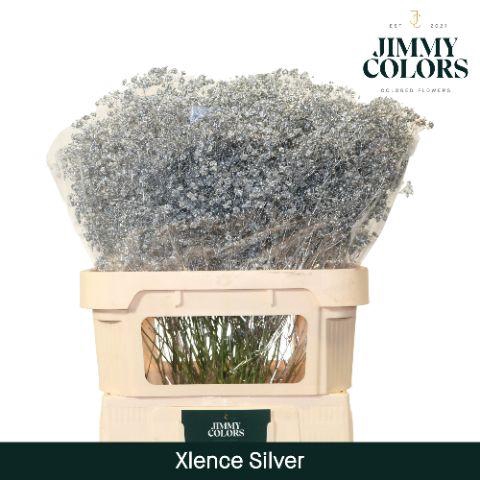 <h4>GYPS KLB H%</h4>