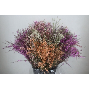 Ginster 200gr Mix Pbs