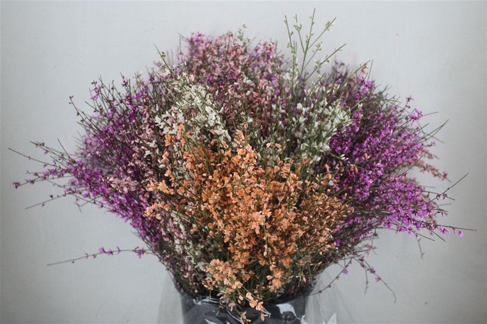 <h4>Ginster 200gr Mix Pbs</h4>