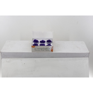 Rosa Preserved Purple