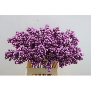 Berries Big Fuchsia Metallic