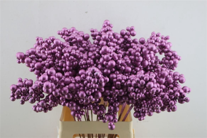 <h4>Berries Big Fuchsia Metallic</h4>