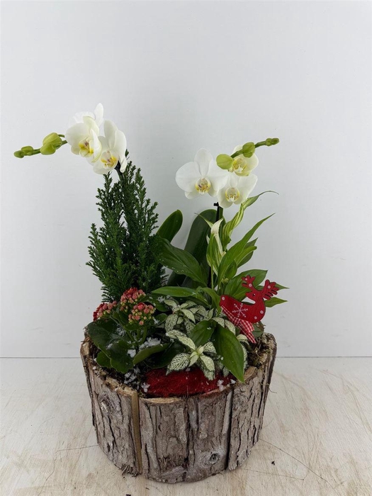 <h4>Arr (2) Phal Hout Rond Grijs</h4>