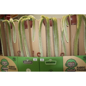 CACTUS RABO DE MACACO C18 PENDENTE