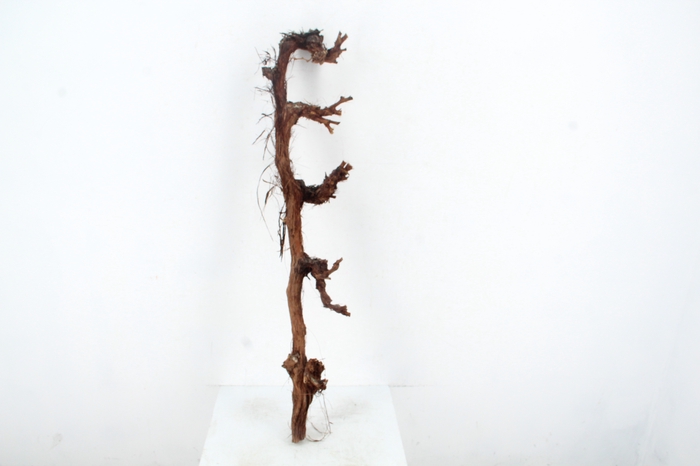 <h4>GRAPE WOOD NATURAL 120CM</h4>