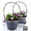 ARR TUINPLANTEN