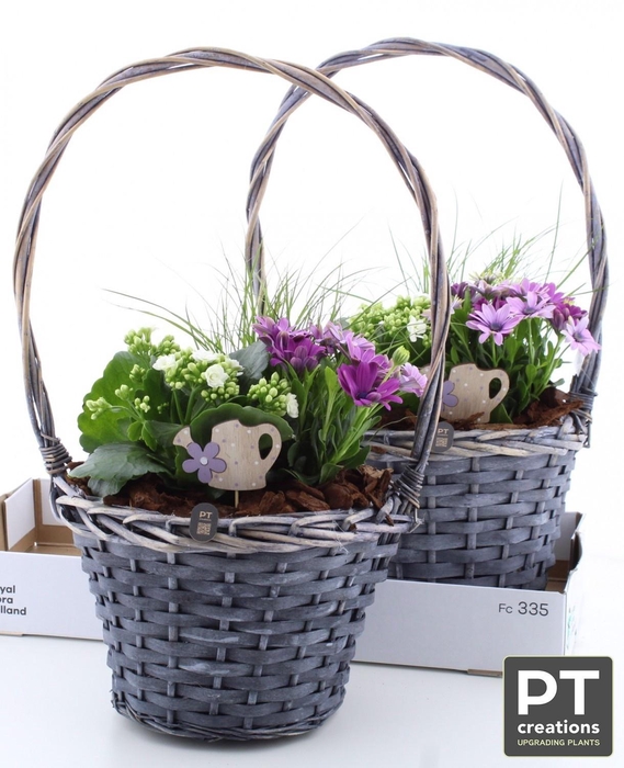 ARR TUINPLANTEN