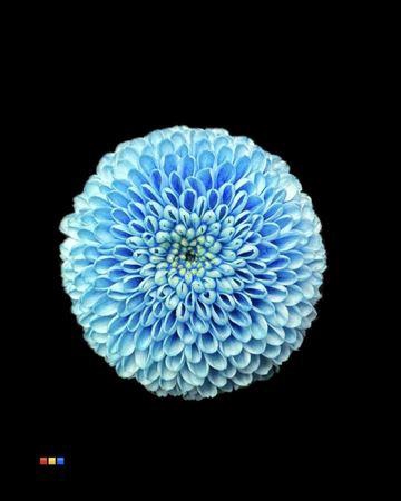 <h4>Chr S Dusty Dark Blue</h4>