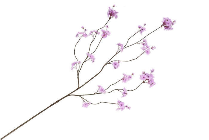 Silk Cherry Blossom Light Purple 126cm Nm