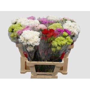 DI ST GEMENGD IN FUST