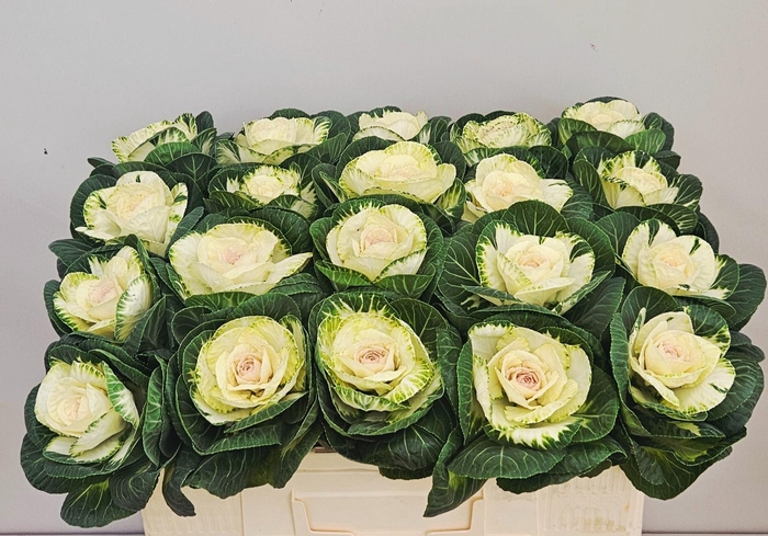 <h4>BRASS WHITE CRANE</h4>