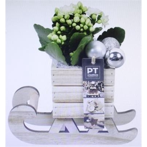 4335 HOUT ZILVER/WIT SLEE