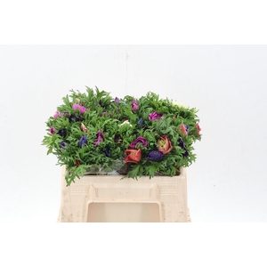 Anem Levante Gemengd