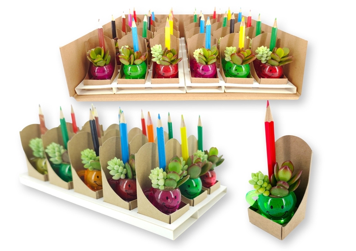<h4>ARR SUCCULENTEN</h4>
