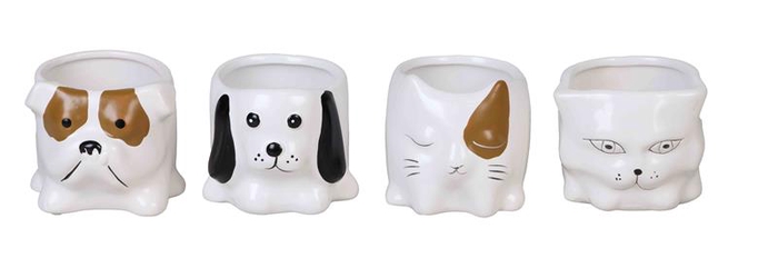 DIVERSE P6 L 862 HOND EN KAT