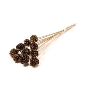 Pine Cone 4-6cm O/s 10pc Natural