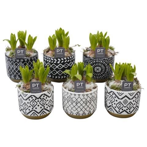 <h4>Opm Pt PTWH7816 Hya Winter Keramiek Pot</h4>